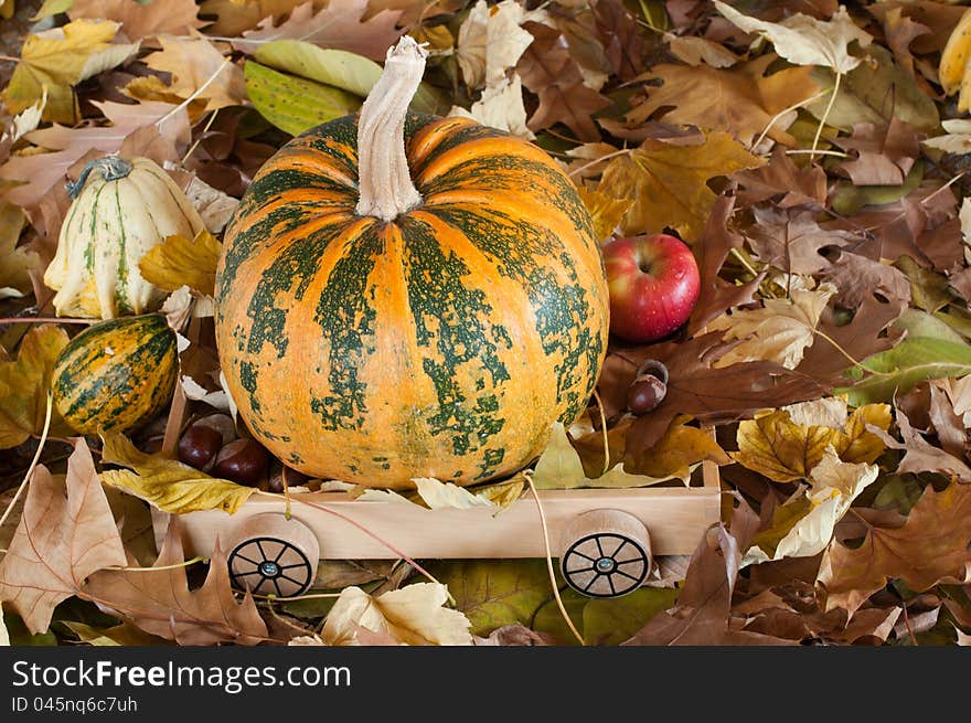 Orange pumpkin on a wooden trolley. Orange pumpkin on a wooden trolley