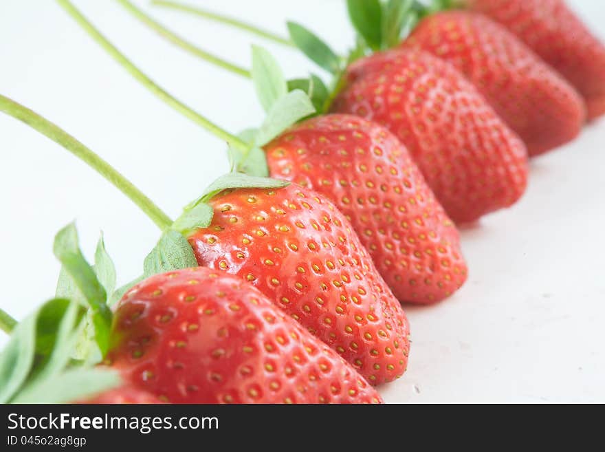 Red Strawberries In A Row