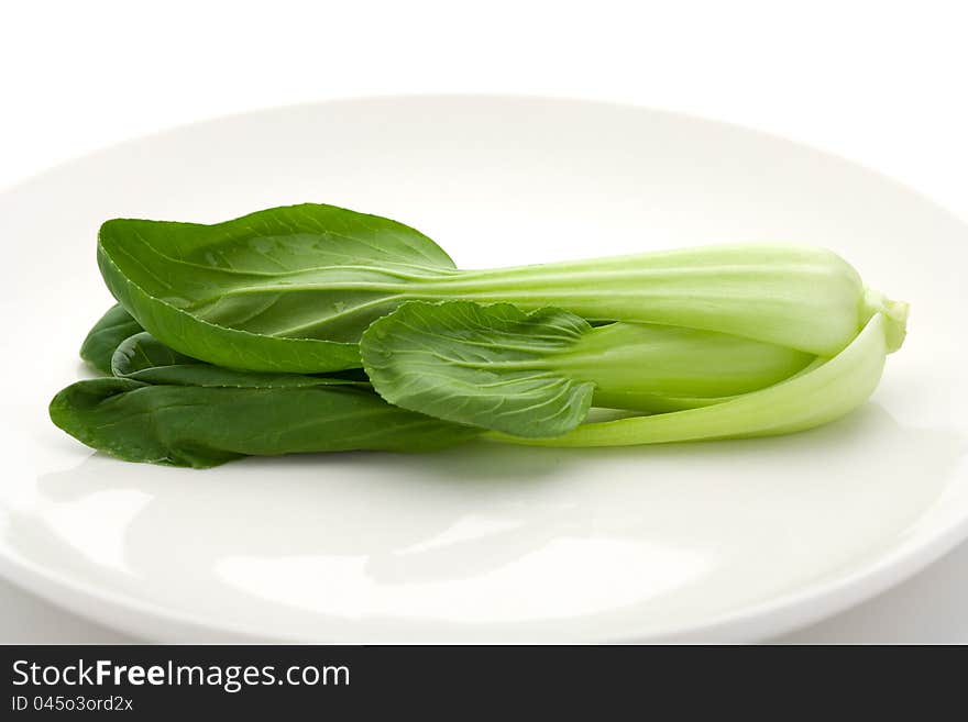 Chinese cabbage on a white plate