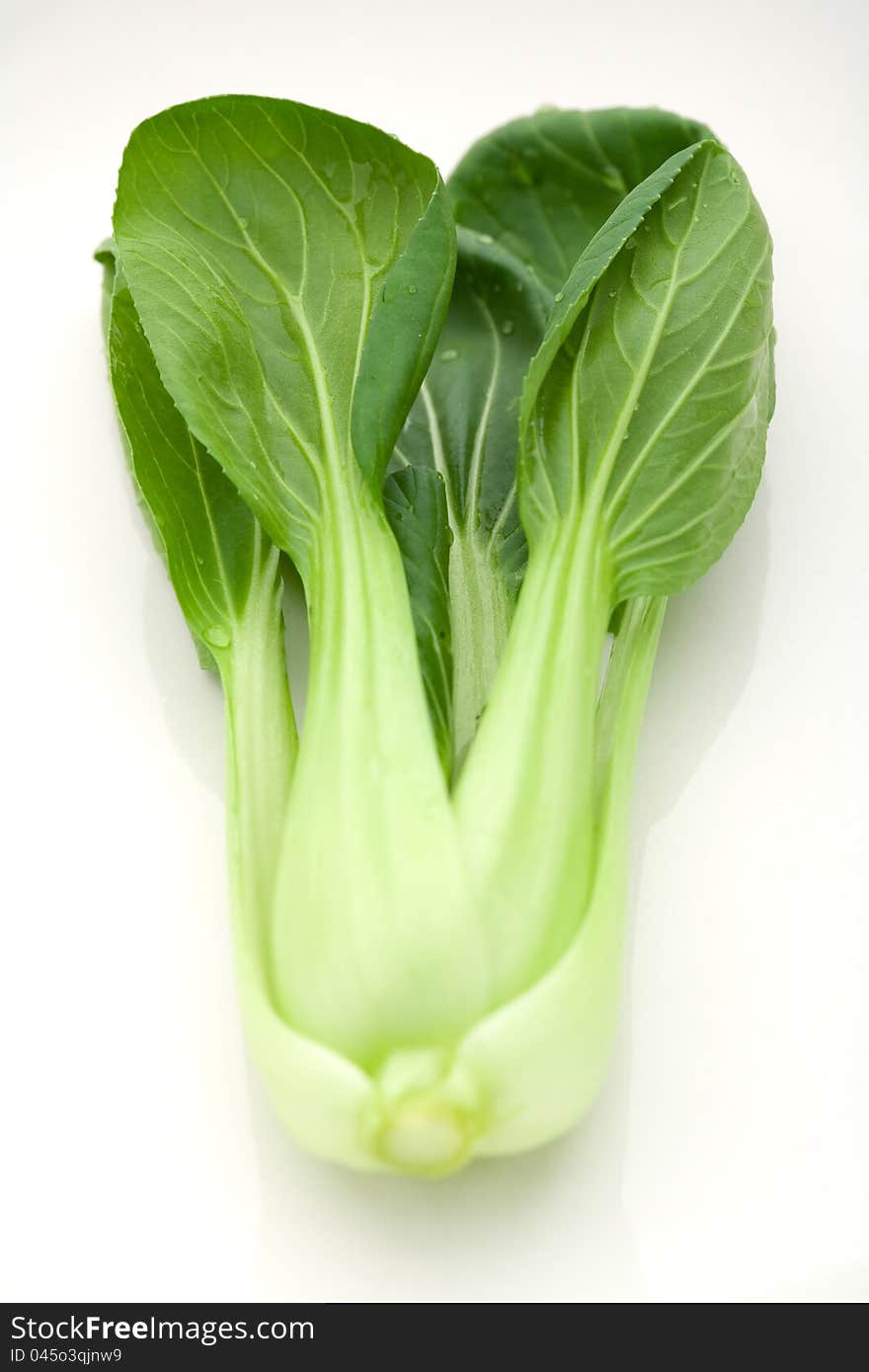 Chinese cabbage on a white plate