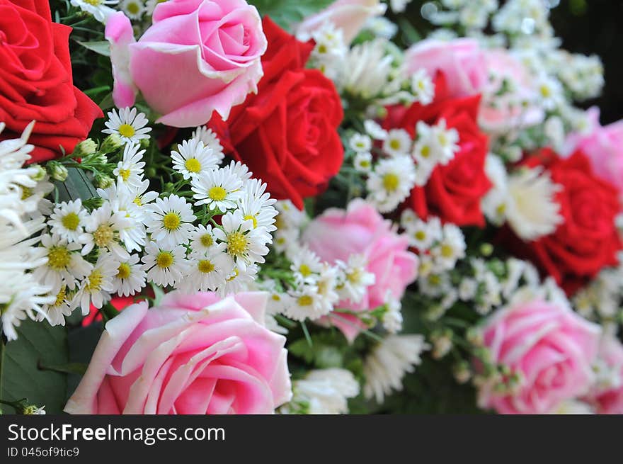 White daisy on bouquet of roses