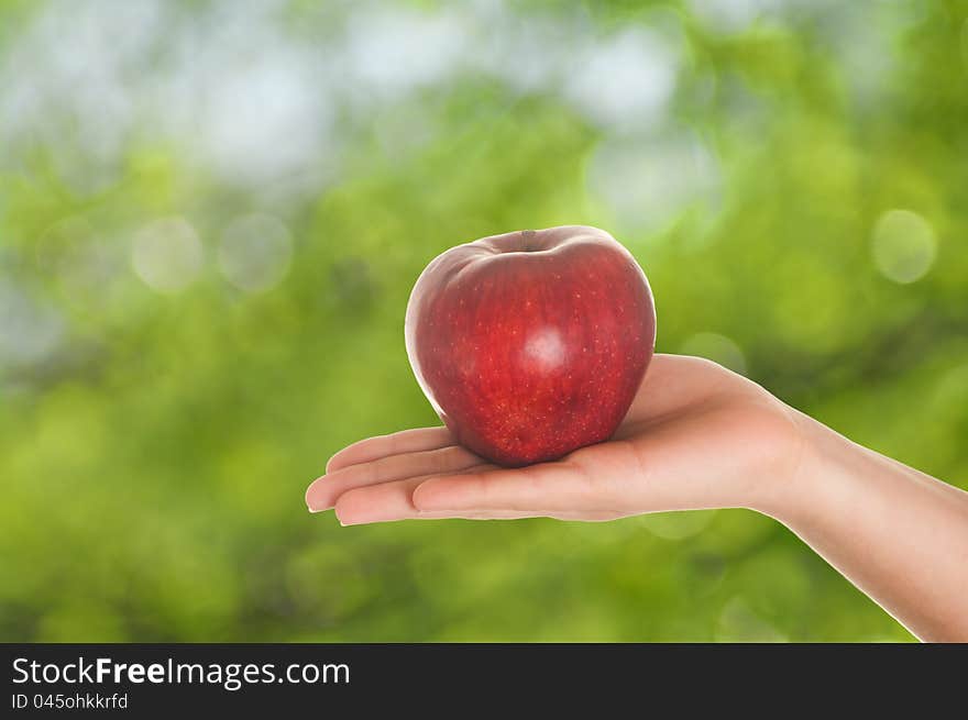 Red apple in woman hands