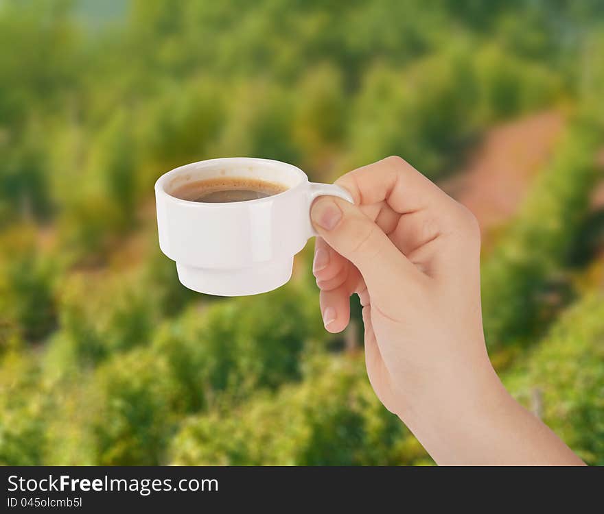 Hand with a cup of coffee