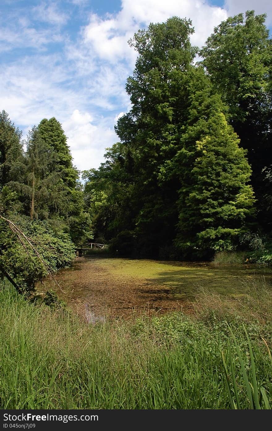 Beautiful arboretum in Transylvania, Romania