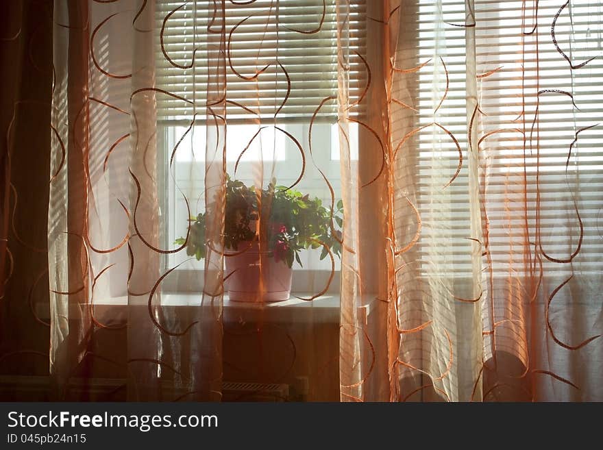 Beautiful flowerpot on a window sill with morning beams of the sun