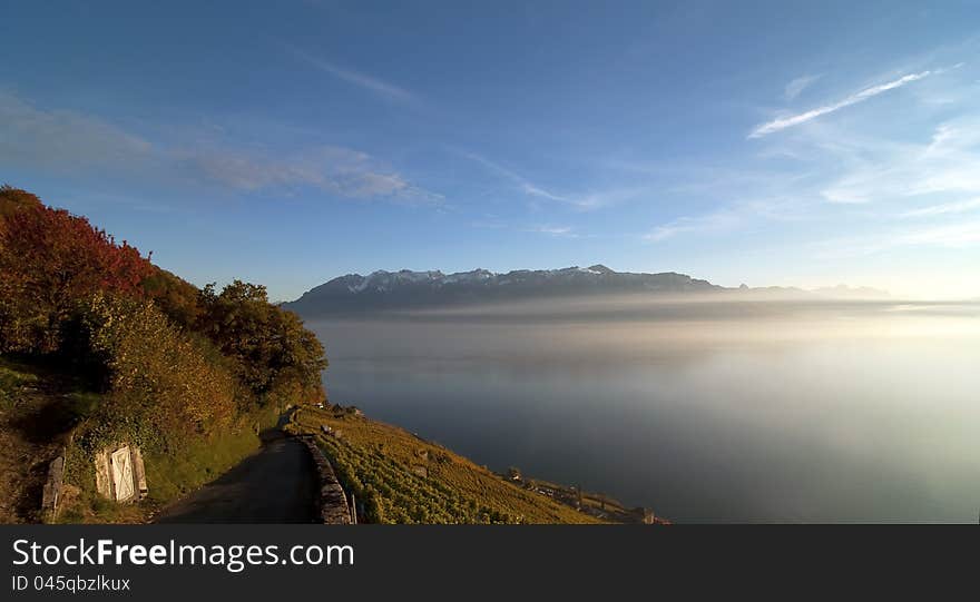 A landscape of vineyard lake and alpine mountains. A landscape of vineyard lake and alpine mountains