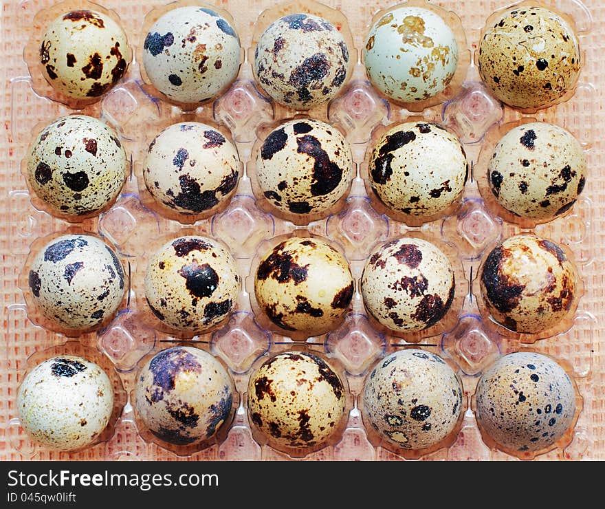 Tray of quail eggs