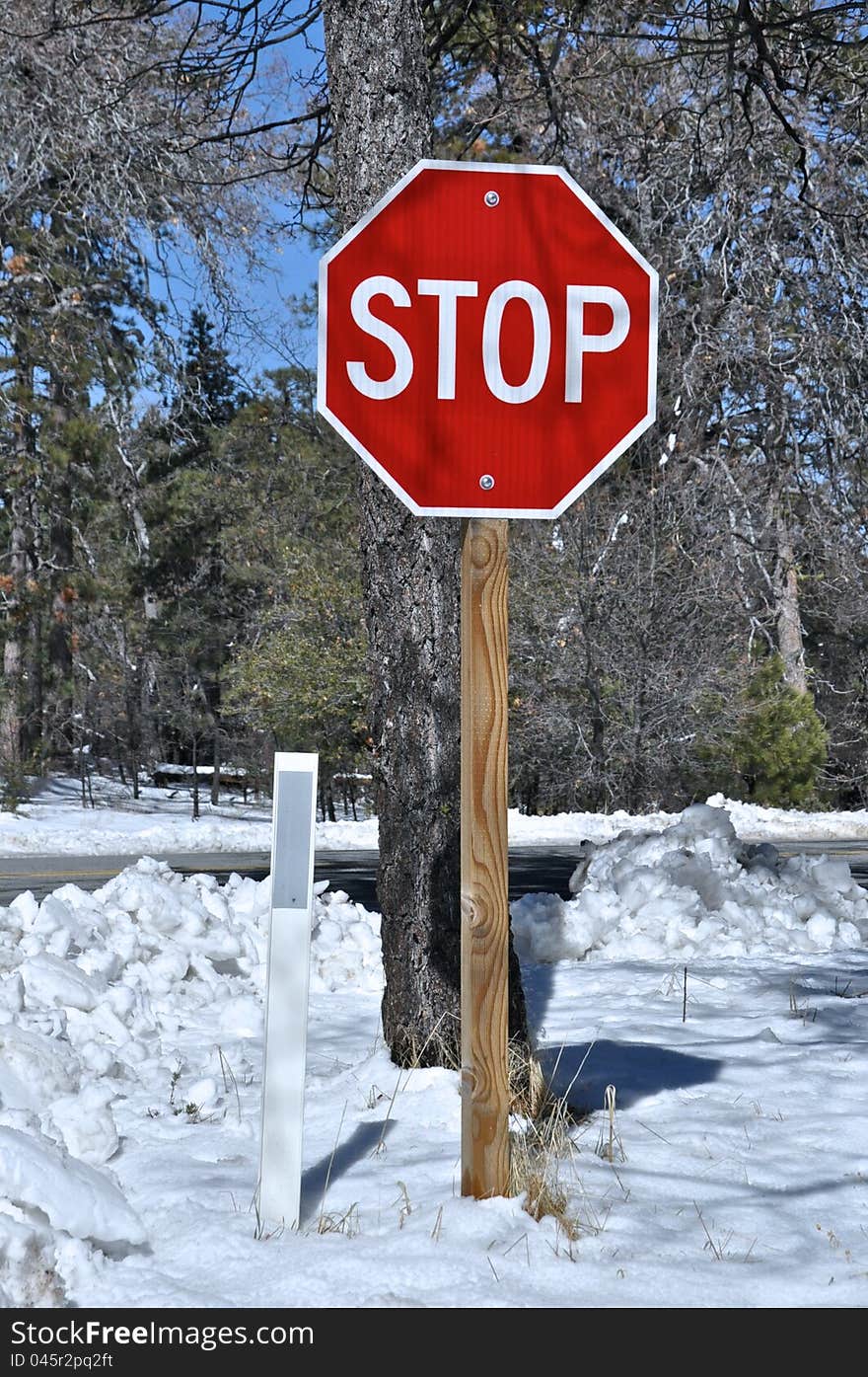 Stop in Snow