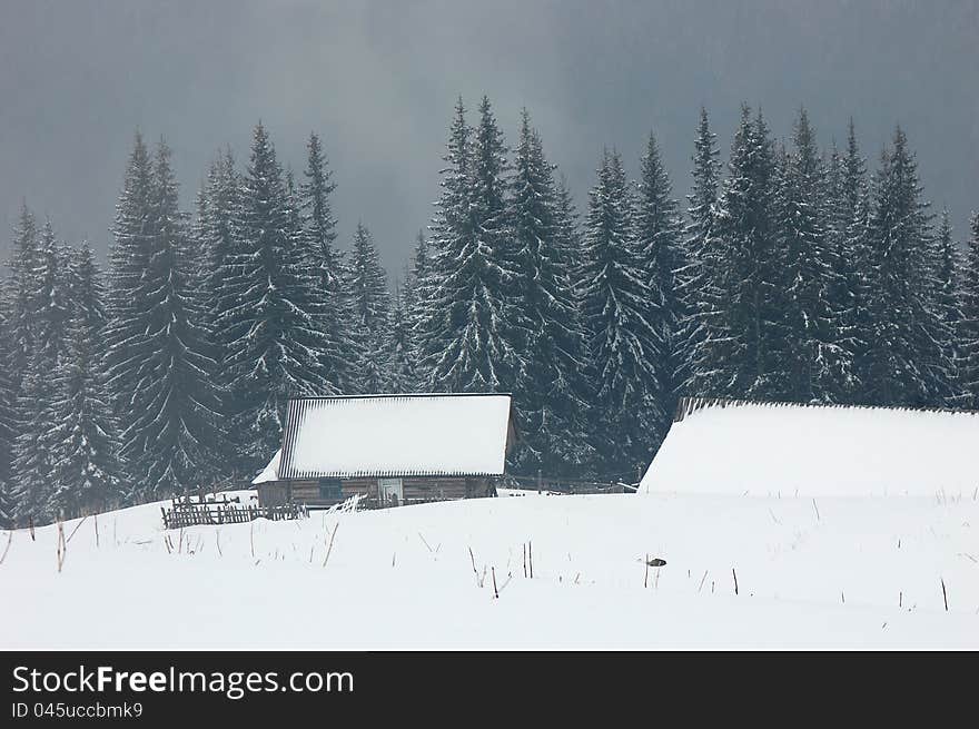 Shepherds Cottage in the mountains in winter. Ukraine, the Carpathians.