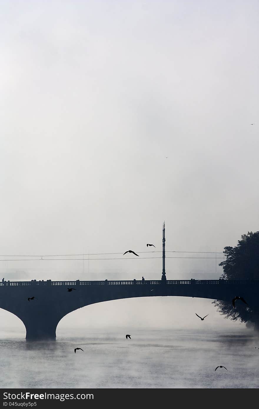 Bridge in fog, birds flying over the bridge, black and white photographs bridge Vltava river under the bridge, autumn day on the river