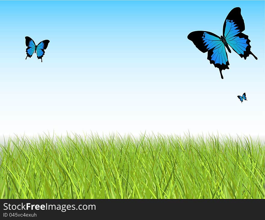 Blue Sky with Detailed Grass and Butterflies. Blue Sky with Detailed Grass and Butterflies