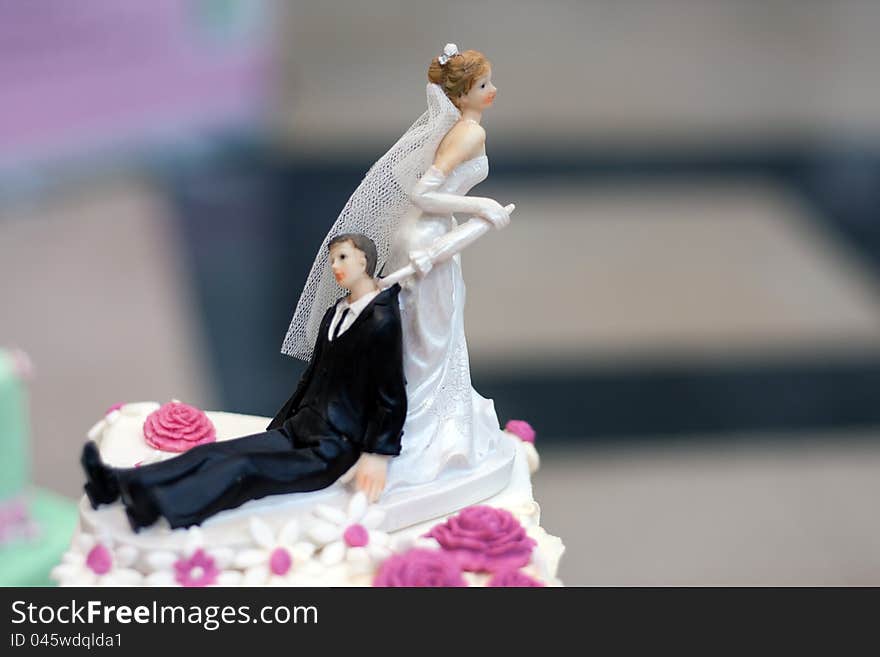 Wedding couple on the cake.