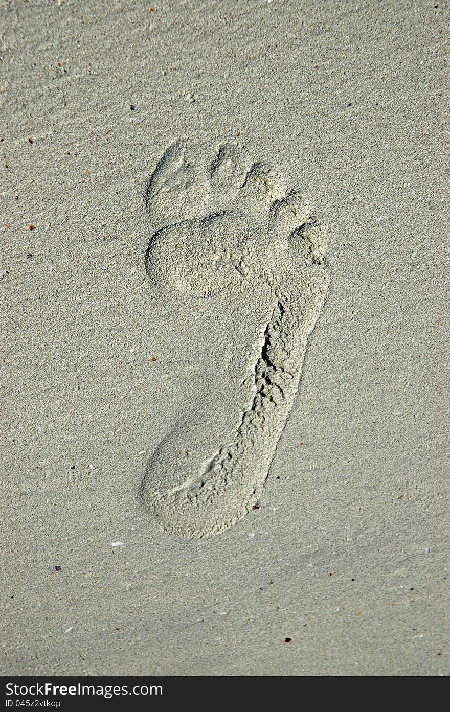 Footprint in the sand