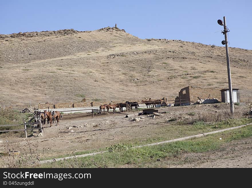 Farm for horses on the mountain. Farm for horses on the mountain