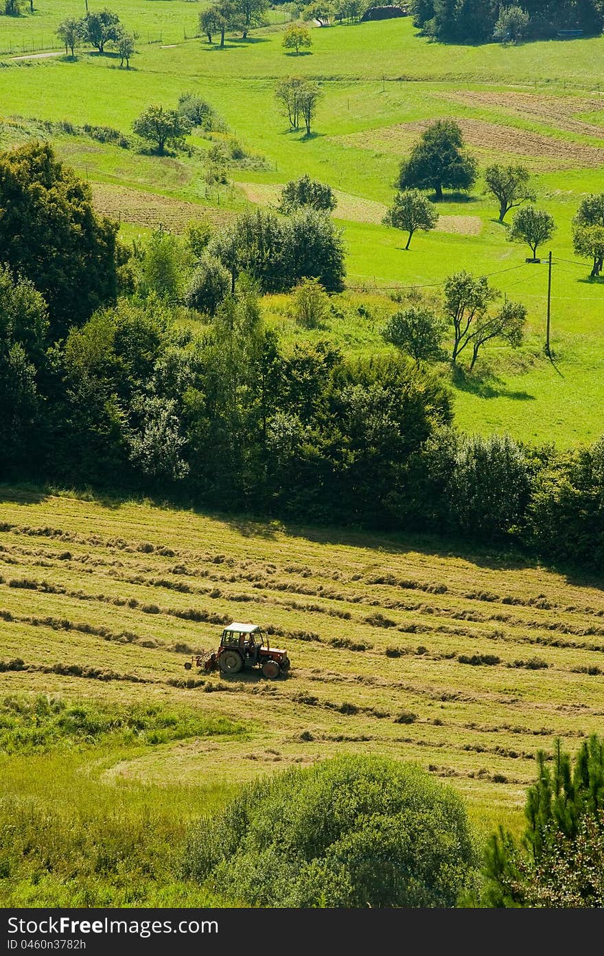 Farm with traktor