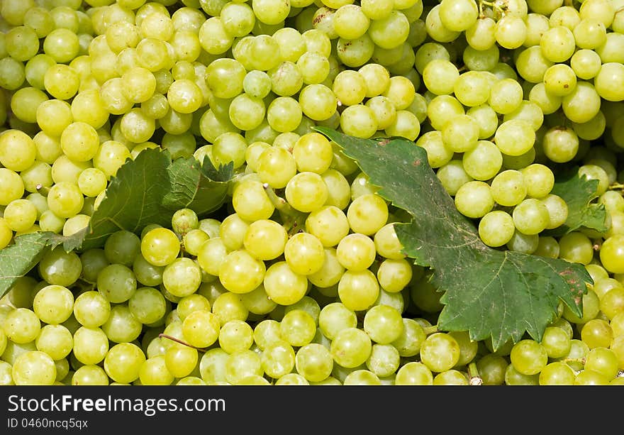 White wine grapes in a market. White wine grapes in a market