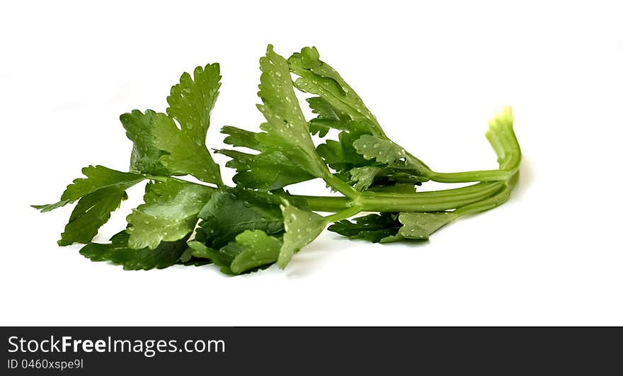 A leek leaf that is rinsed with water. A leek leaf that is rinsed with water