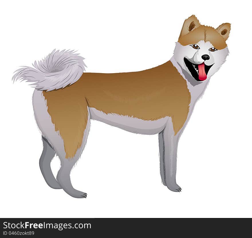 Akita Inu Japanese Dog vector illustration eps 10