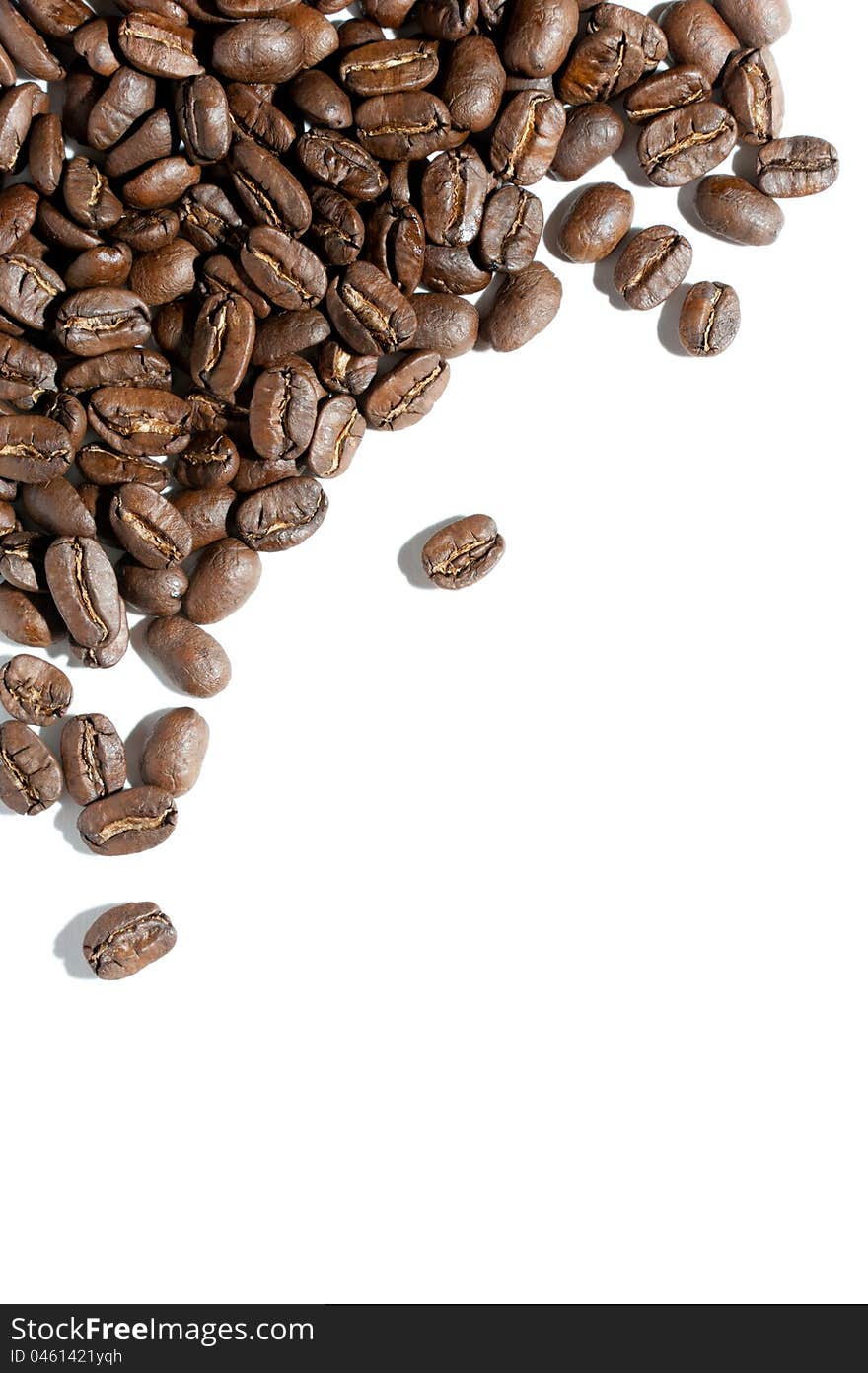 Coffe beans on the white background. Coffe beans on the white background