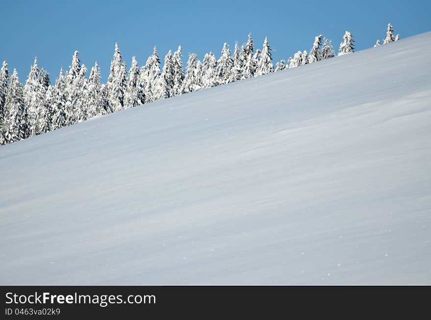 Trees covered with hoarfrost and snow in mountains