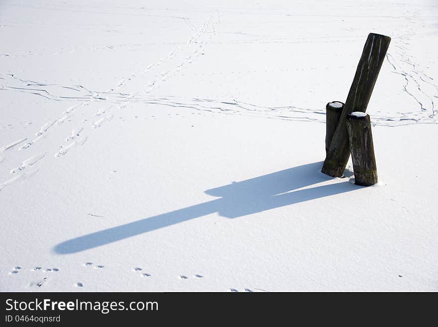 Wooden piles in a frozen lake. Wooden piles in a frozen lake