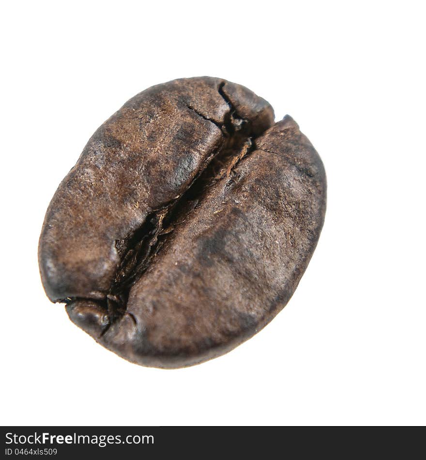 The One Coffee Bean