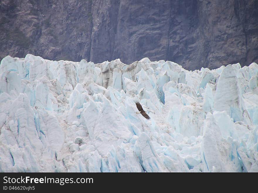 Closeup image detail of a glacier in Alaska with bald eagle flying. Closeup image detail of a glacier in Alaska with bald eagle flying