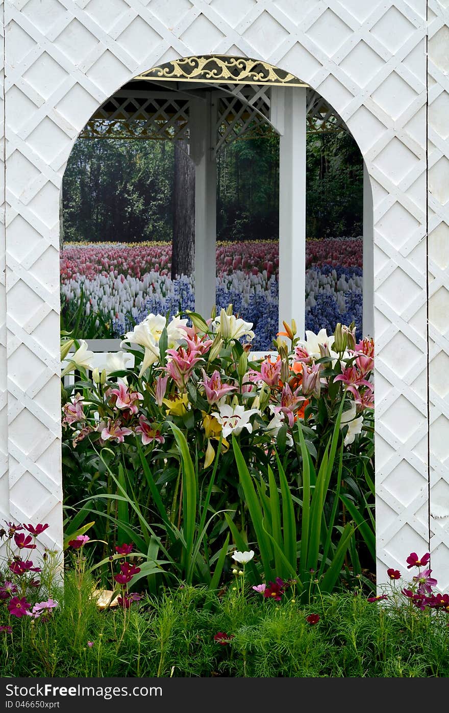 Various types of lily flowers in garden landscape