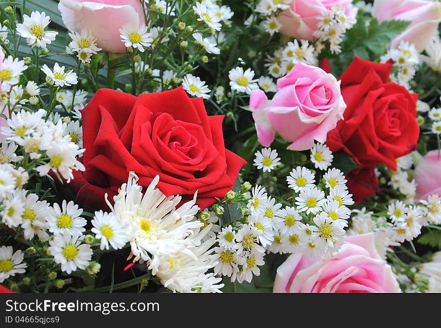 Bouquet of red and pink roses