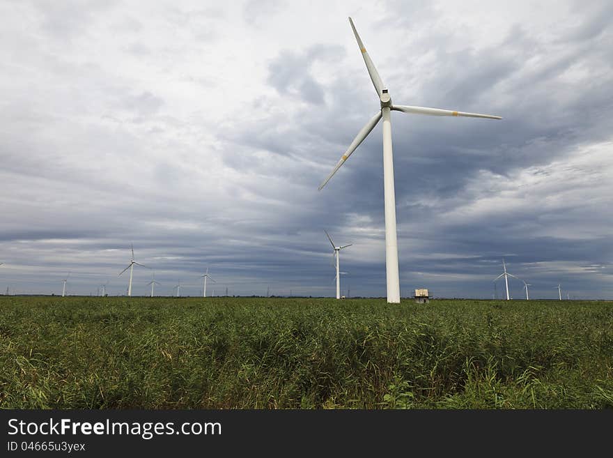 Windmills standing in the middle of weeds.