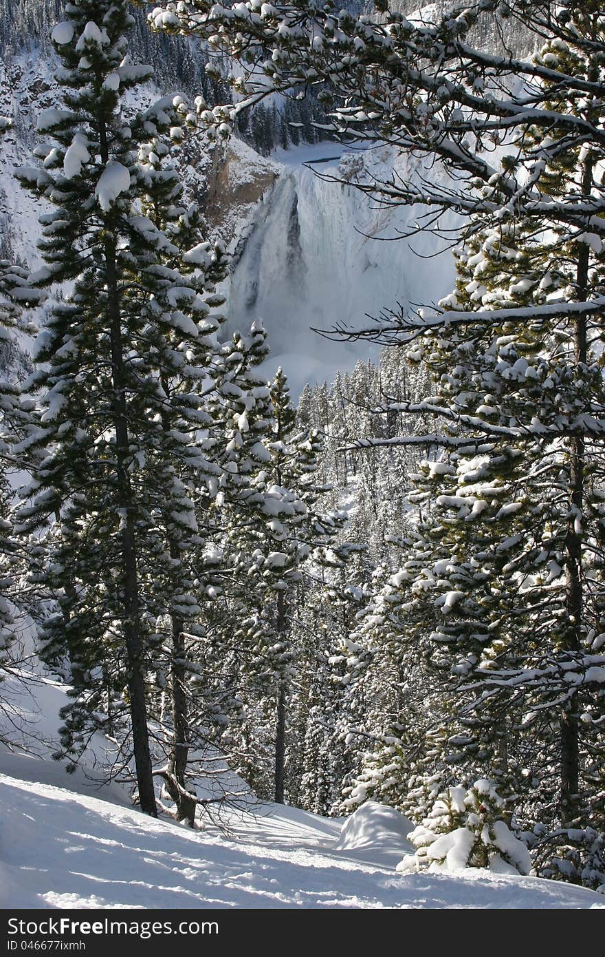 Frozen waterfall in Yellowstone Park midwinter. Frozen waterfall in Yellowstone Park midwinter