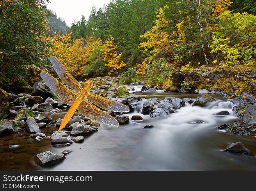 Golden dragonfly glides over mountain creek surrounded by autumn trees. Golden dragonfly glides over mountain creek surrounded by autumn trees