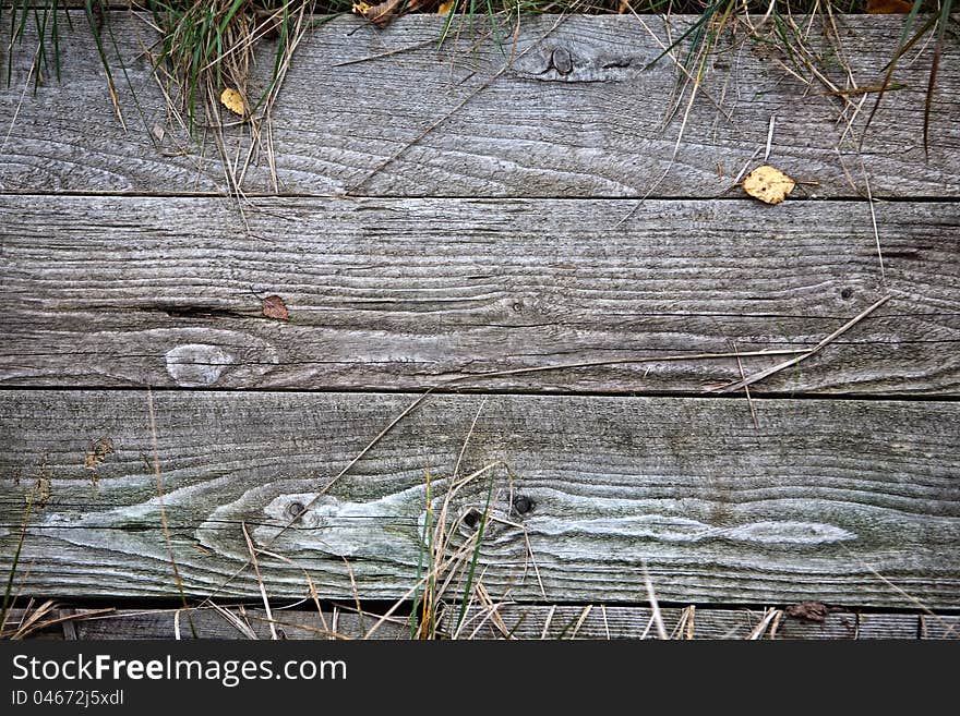 Old wooden leaf autumn background