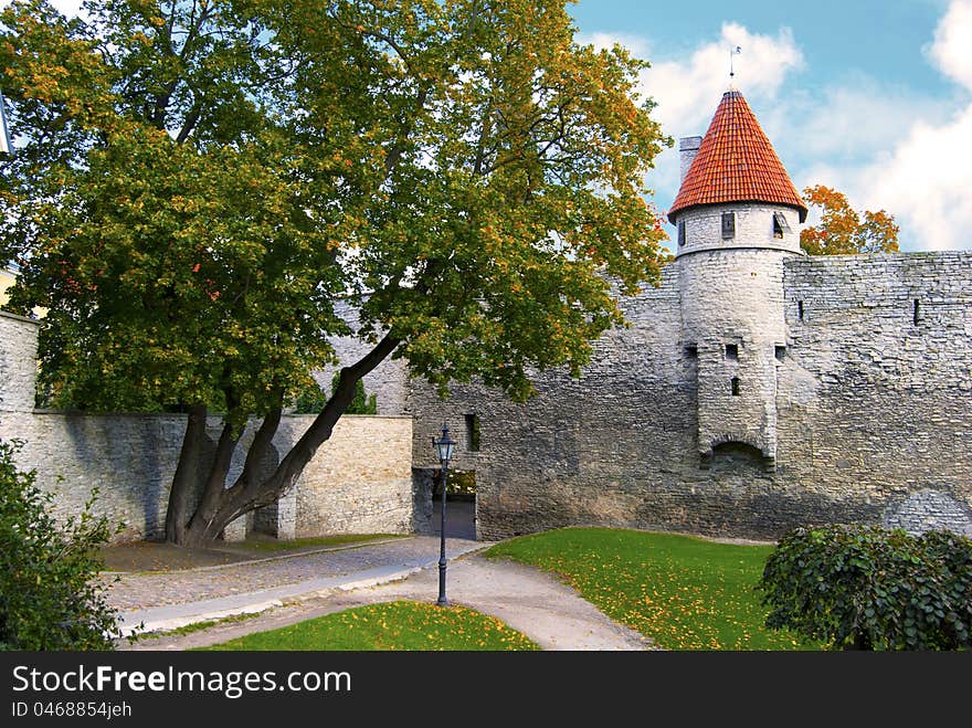 Old Tallinn