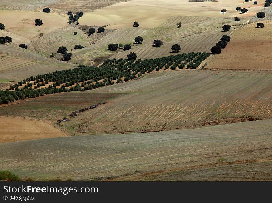 Beautiful winter landscape of Andalusia in Spain. Beautiful winter landscape of Andalusia in Spain