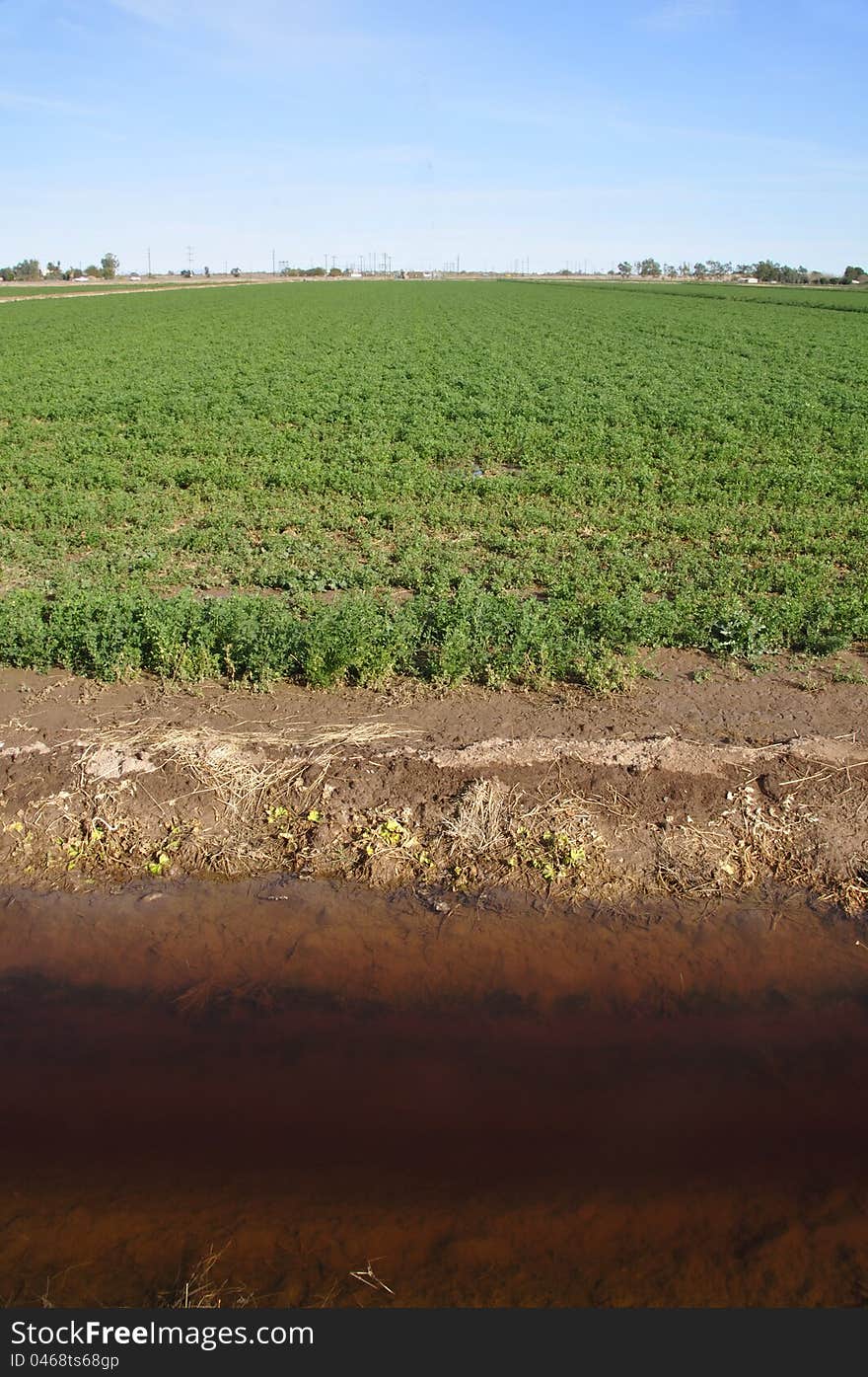 Farm irrigation ditch