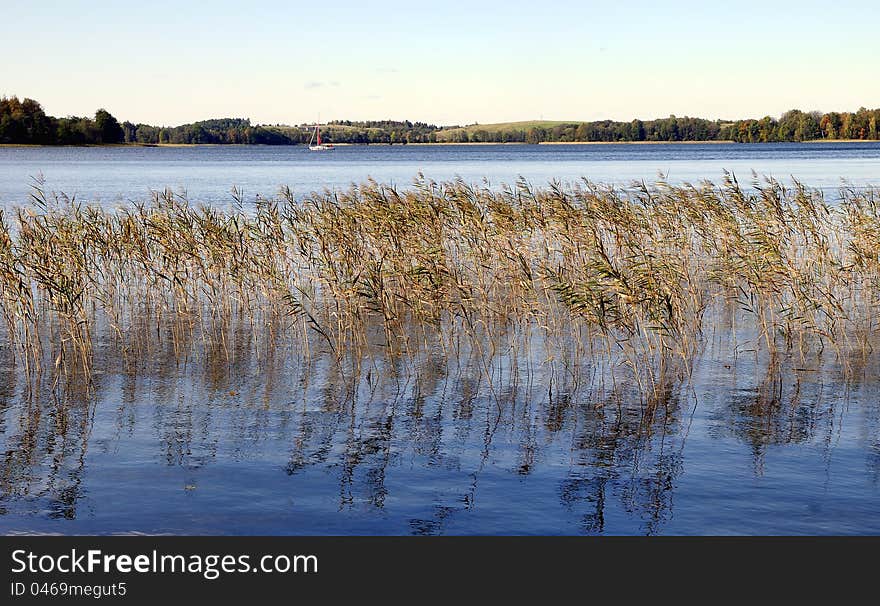 Lake. Early autumn