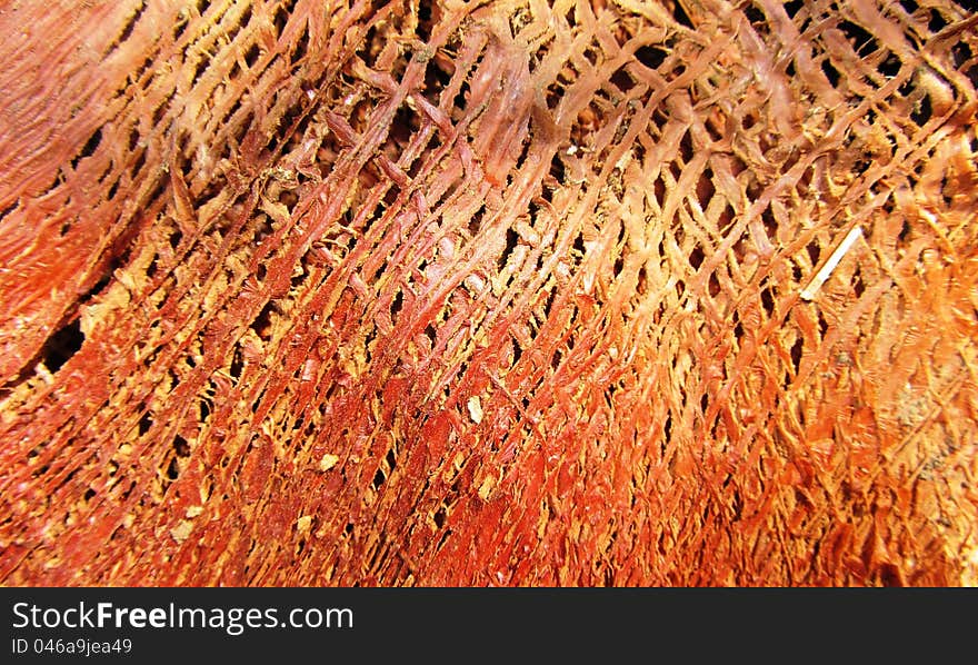 Abstract network background organic texture. Abstract network background organic texture