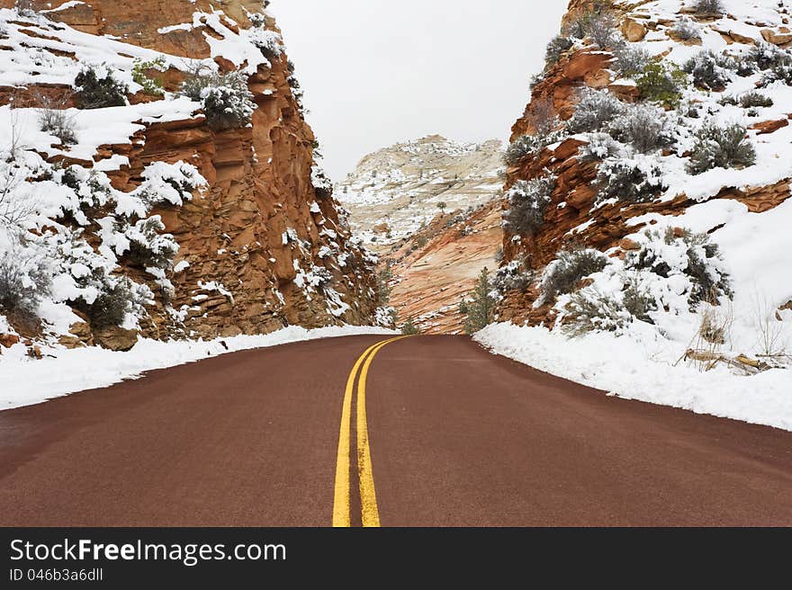 Road through Zion.