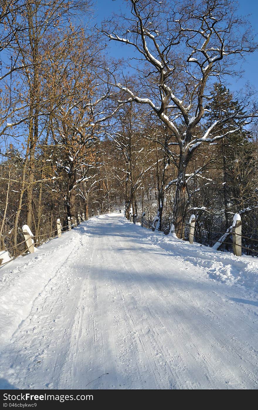 The road through the small bridge that goes into the woods