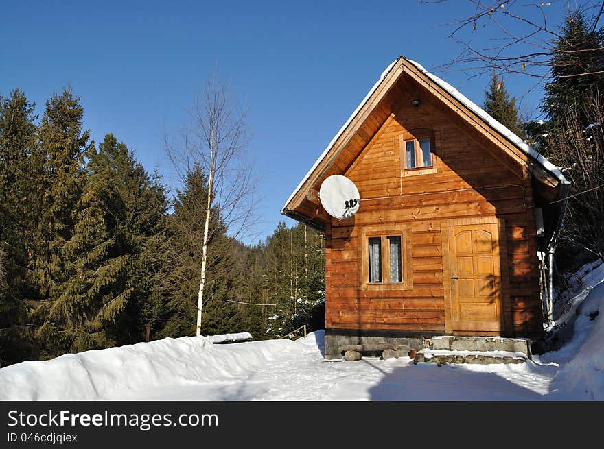 Wooden House Hotel stands on the edge of pine forest, winter