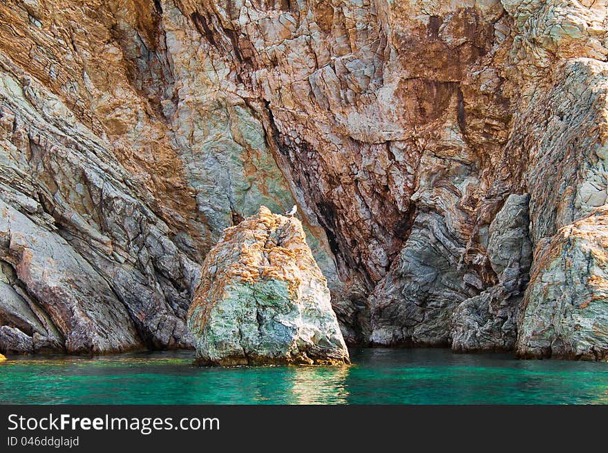 Lonely Seagull On A Rock In The Sea