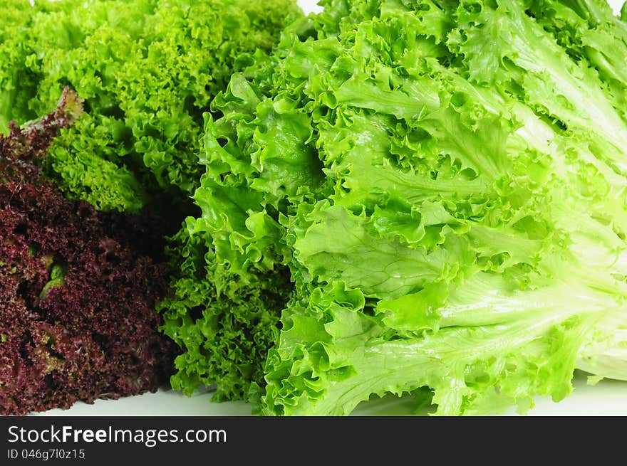 Fresh green lettuce for backgrounds. Fresh green lettuce for backgrounds.