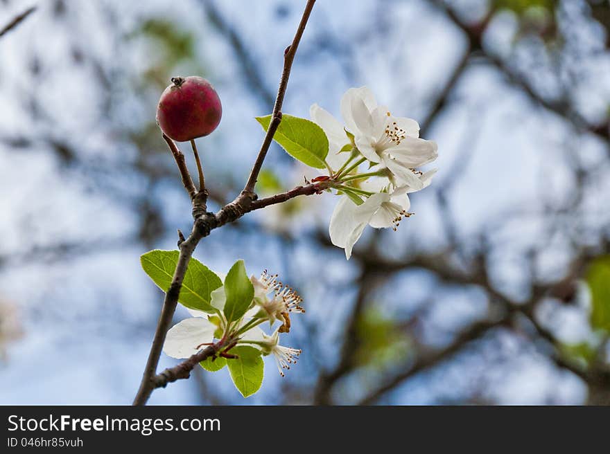 Springtime.