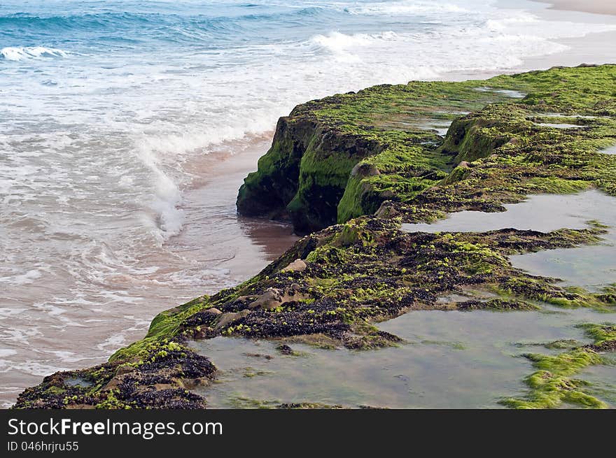 Coastline in northeast Brazil, rocks covered in moss. Coastline in northeast Brazil, rocks covered in moss.