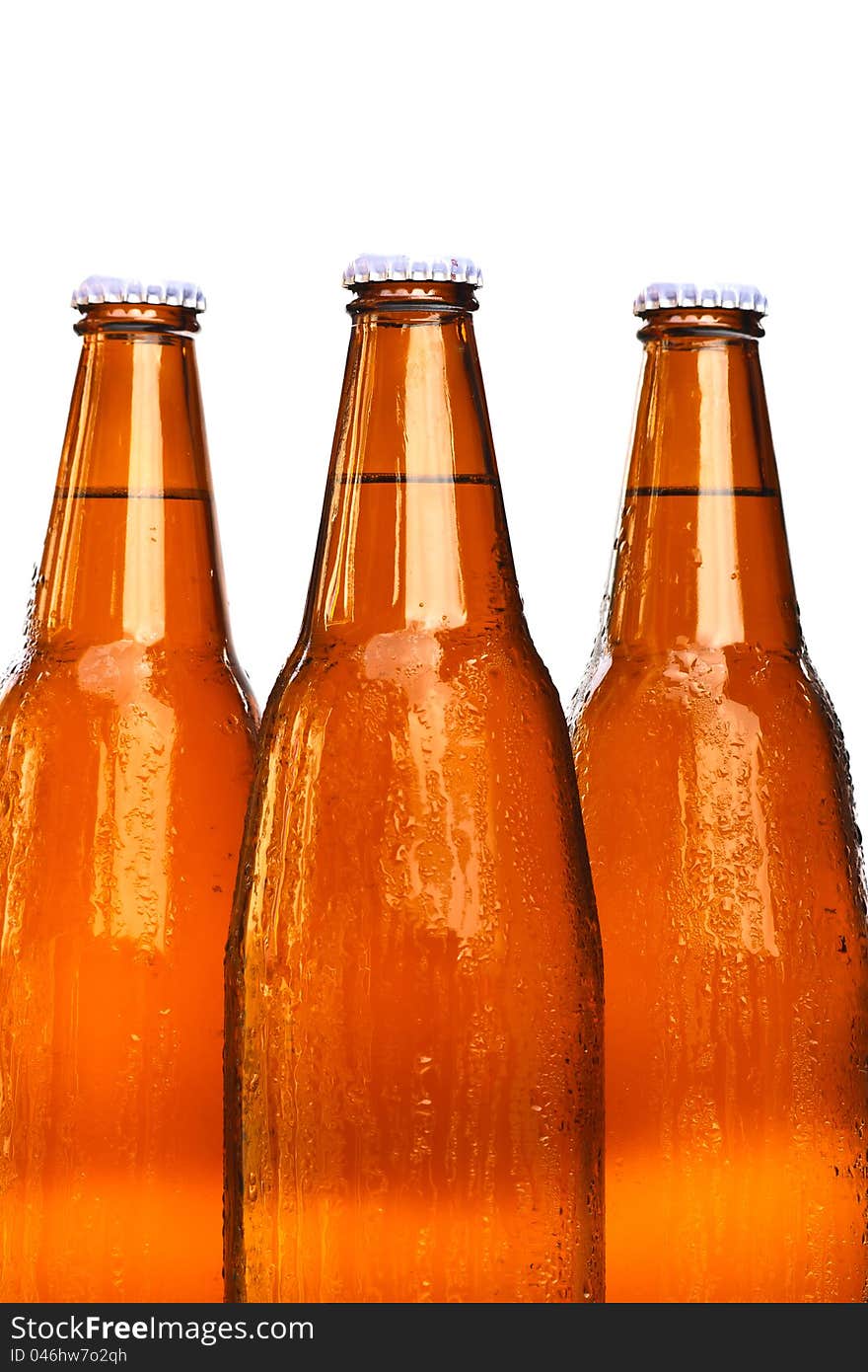 Bottles of beer on white background. Bottles of beer on white background