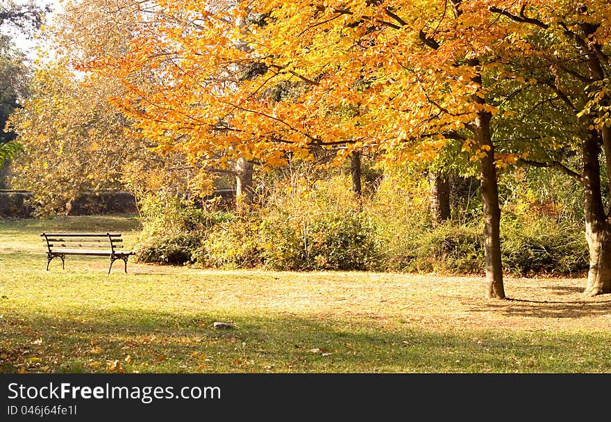 Autumn In The Park