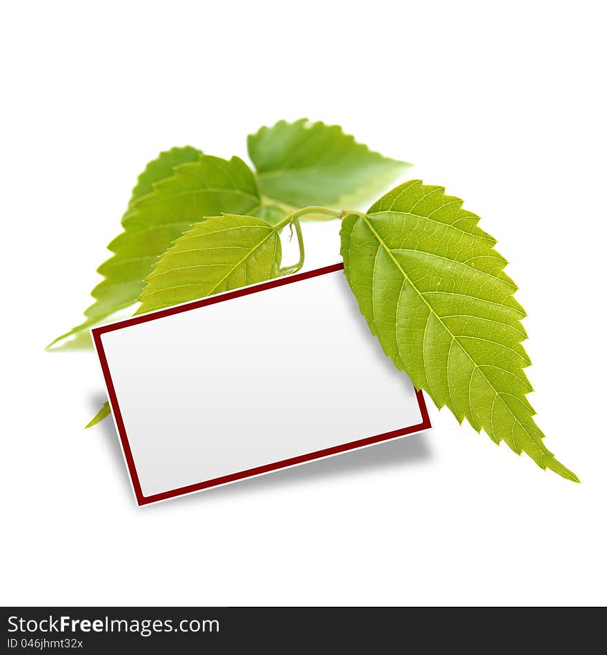 They are a leaf and an image picture of a card. They are a leaf and an image picture of a card