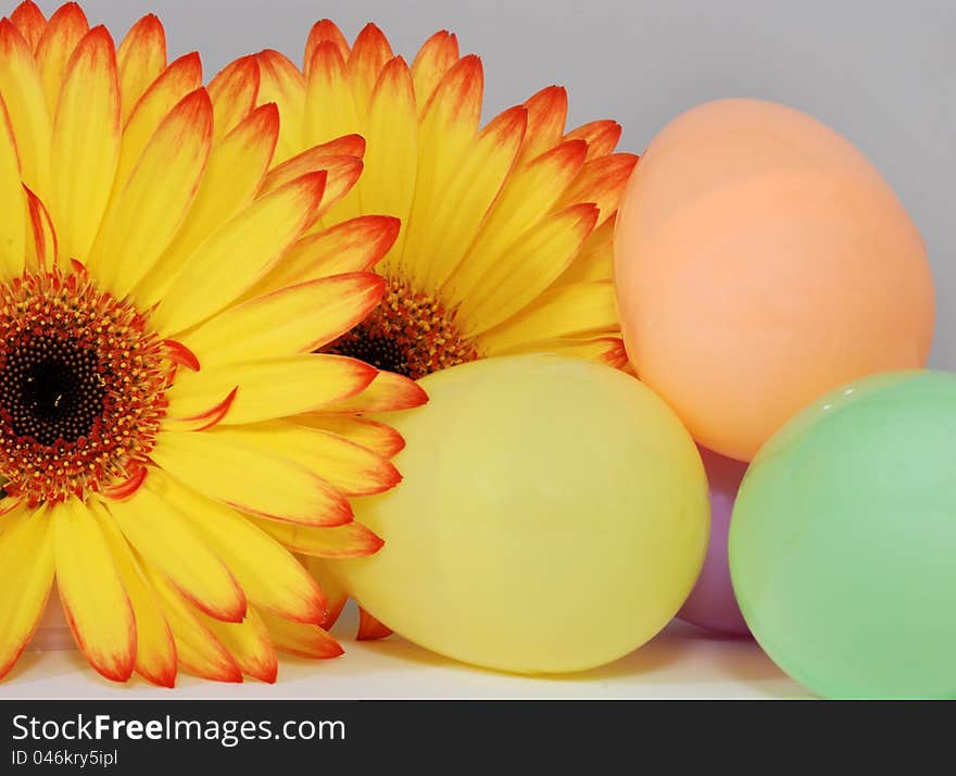 Colorful Easter Eggs And Gerber Daisy