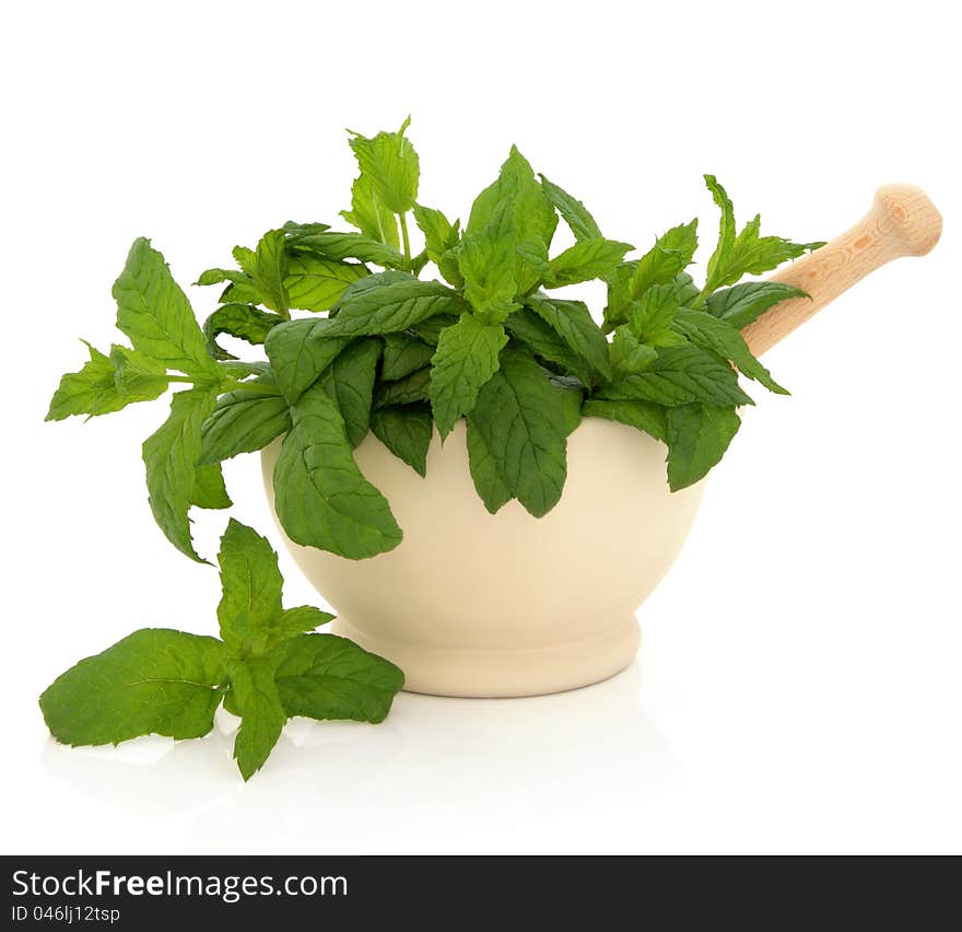 Mint herb in a cream stone mortar with pestle over white background. Mint herb in a cream stone mortar with pestle over white background.